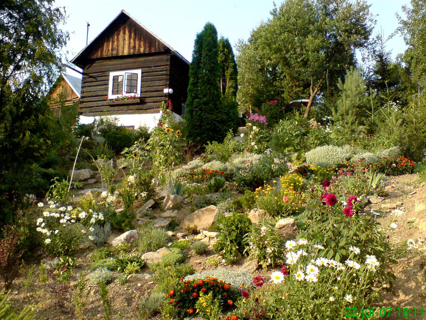 Log Home and Flowers